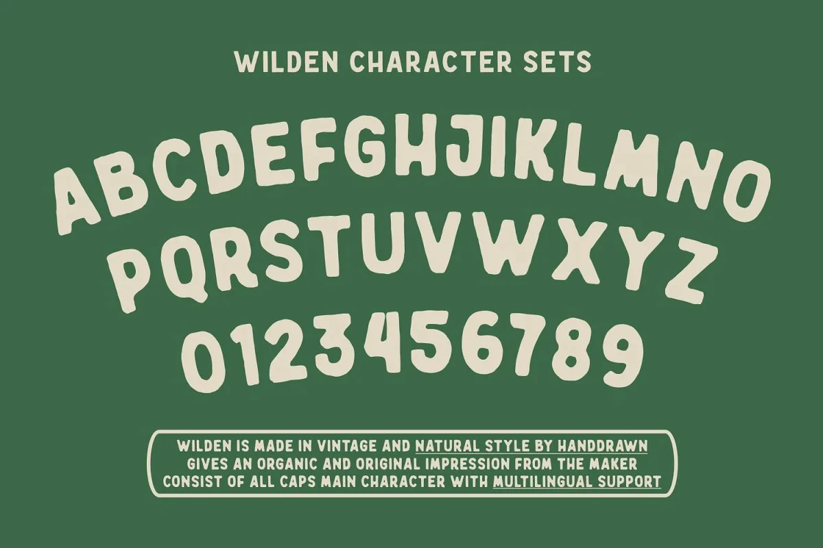 Wilden - Handdrawn Vintage Typeface - Image 3