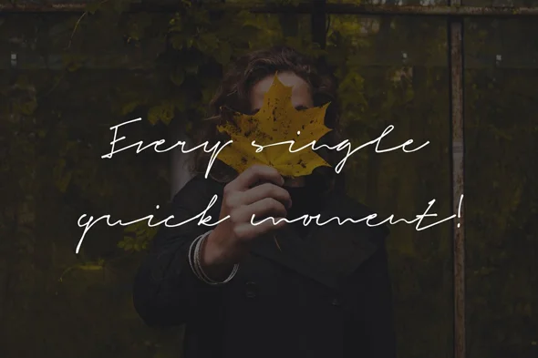 文艺清新手写连笔钢笔英文字体签名标志字体 - Image 2