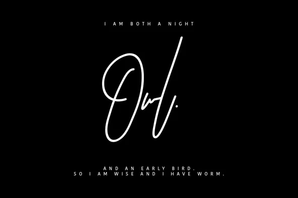 优雅手写英文字体潮牌花饰签名字体 - Image 2