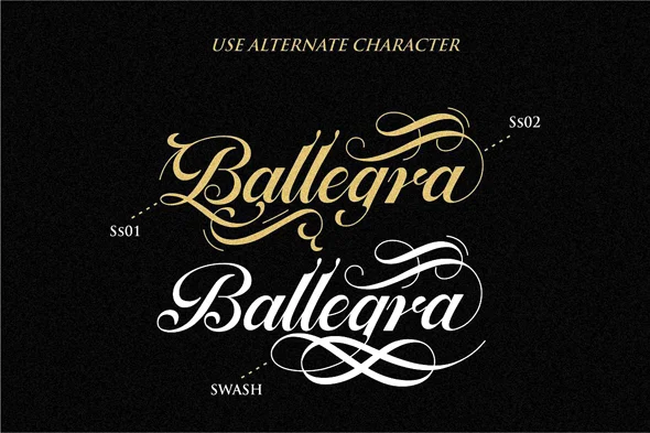 Ballegra Script Outline & Solid. - Image 10