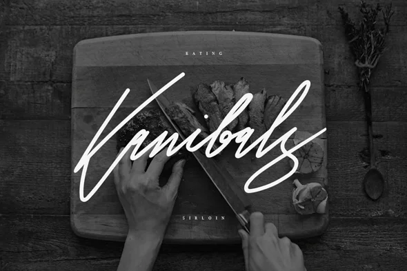 现代优美钢笔手写英文字体商标博客婚礼字体 - Image 3