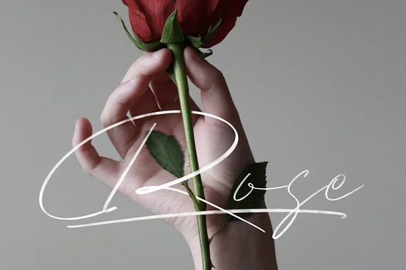 手写英文字体杂志排版标题传单品牌标签字体 - Image 2