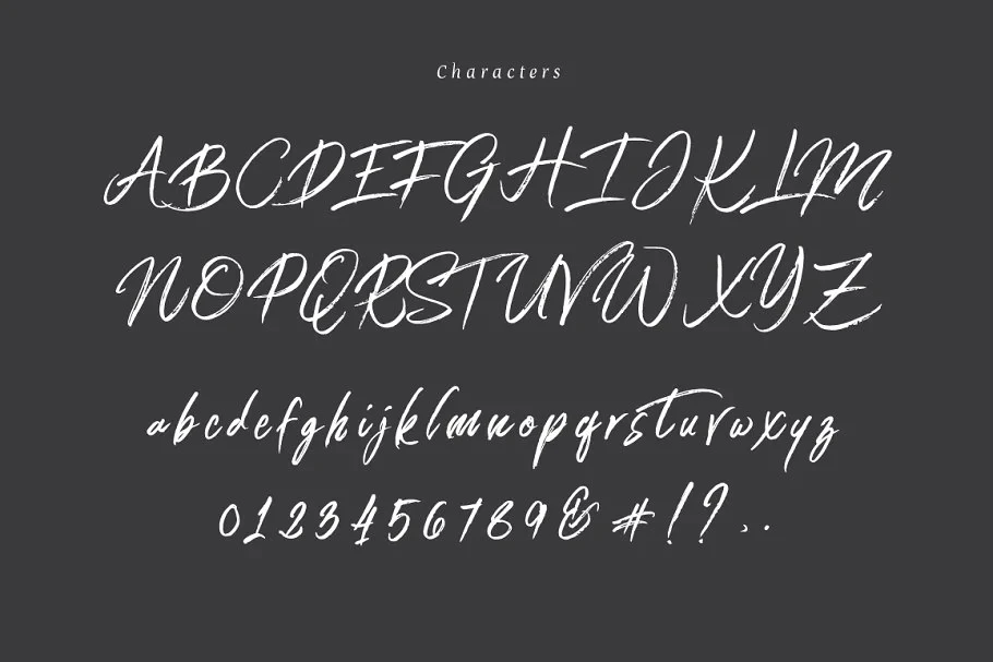 Connoisseurs Typeface - Image 2