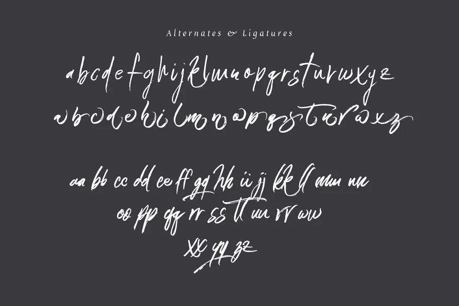 Connoisseurs Typeface - Image 3