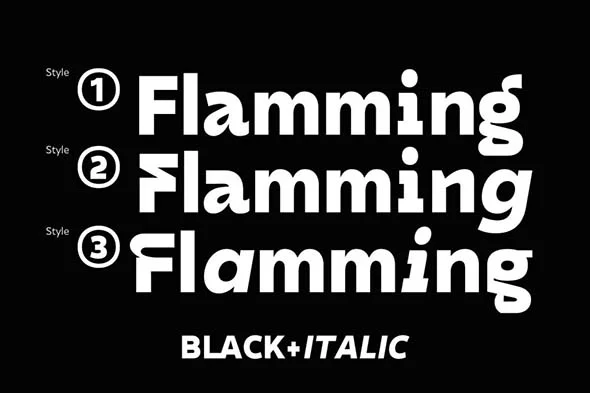 DX Rigraf 现代潮流无衬线英文字体品牌logo标识排版版式字体安装 - Image 5