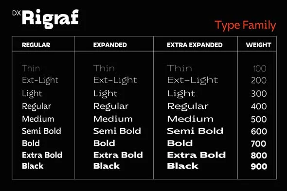 DX Rigraf 现代潮流无衬线英文字体品牌logo标识排版版式字体安装 - Image 12