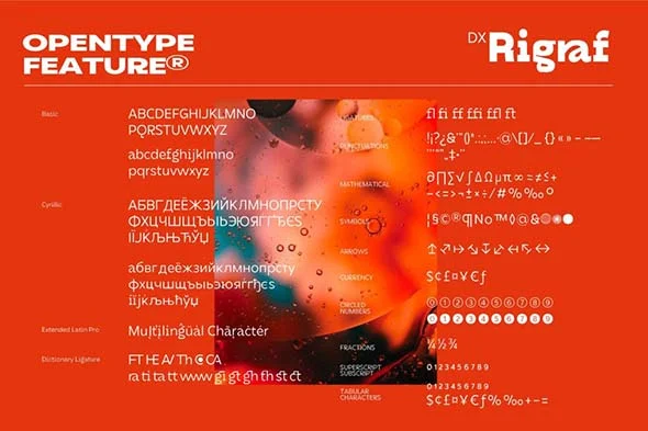 DX Rigraf 现代潮流无衬线英文字体品牌logo标识排版版式字体安装 - Image 13