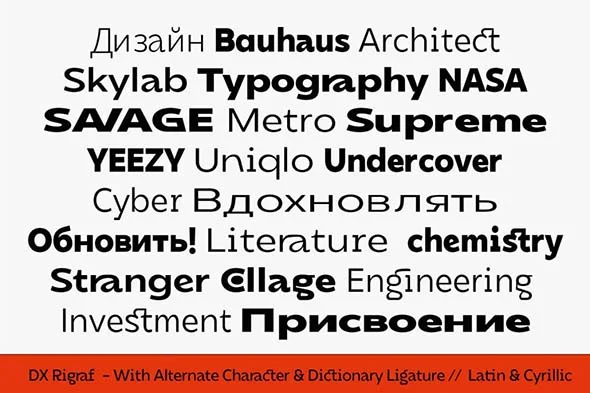 DX Rigraf 现代潮流无衬线英文字体品牌logo标识排版版式字体安装 - Image 15