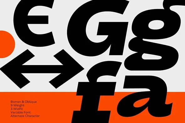 DX Rigraf 现代潮流无衬线英文字体品牌logo标识排版版式字体安装 - Image 17