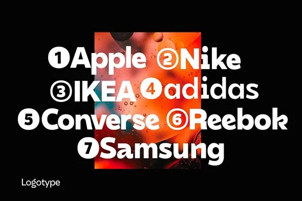 DX Rigraf 现代潮流无衬线英文字体品牌logo标识排版版式字体安装 - Image 2