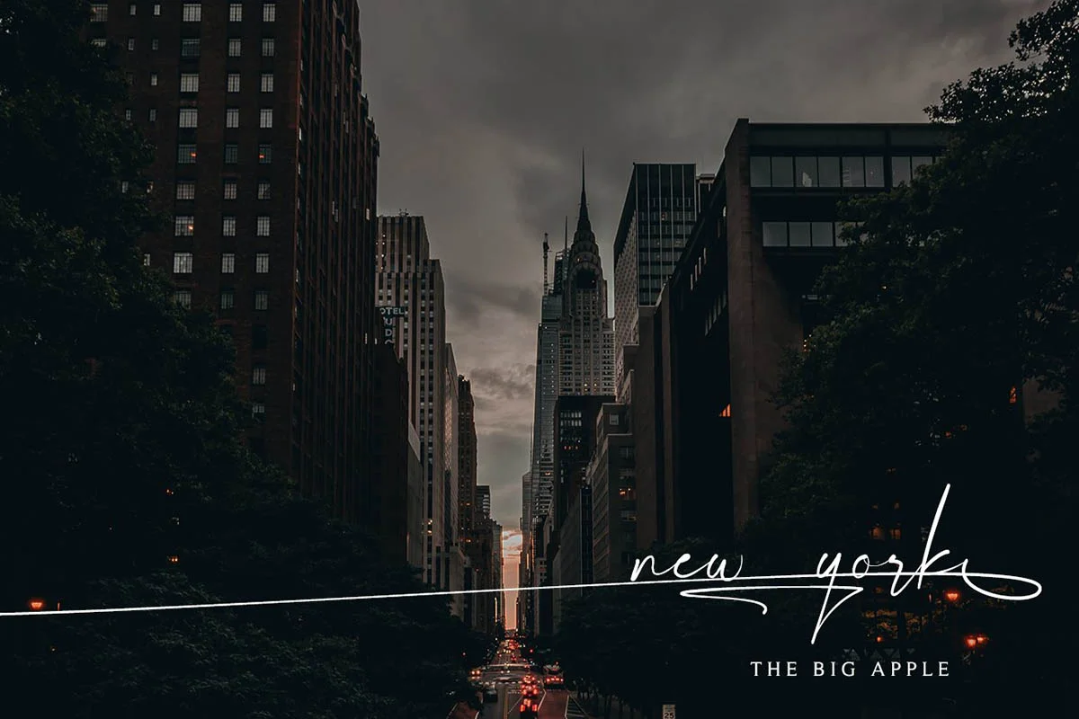 Signature Moments - Image 12