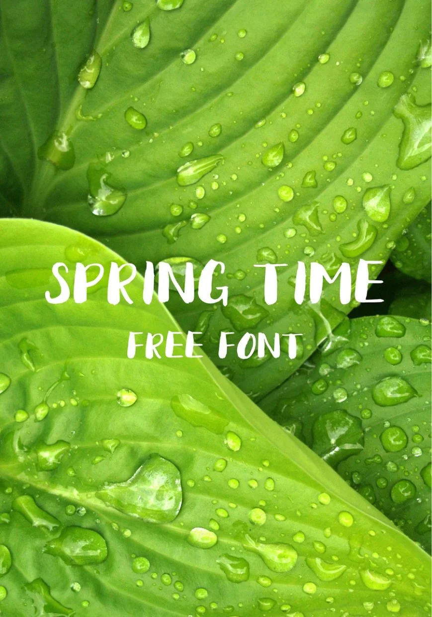 Spring Time Brush Free Font - Image 1