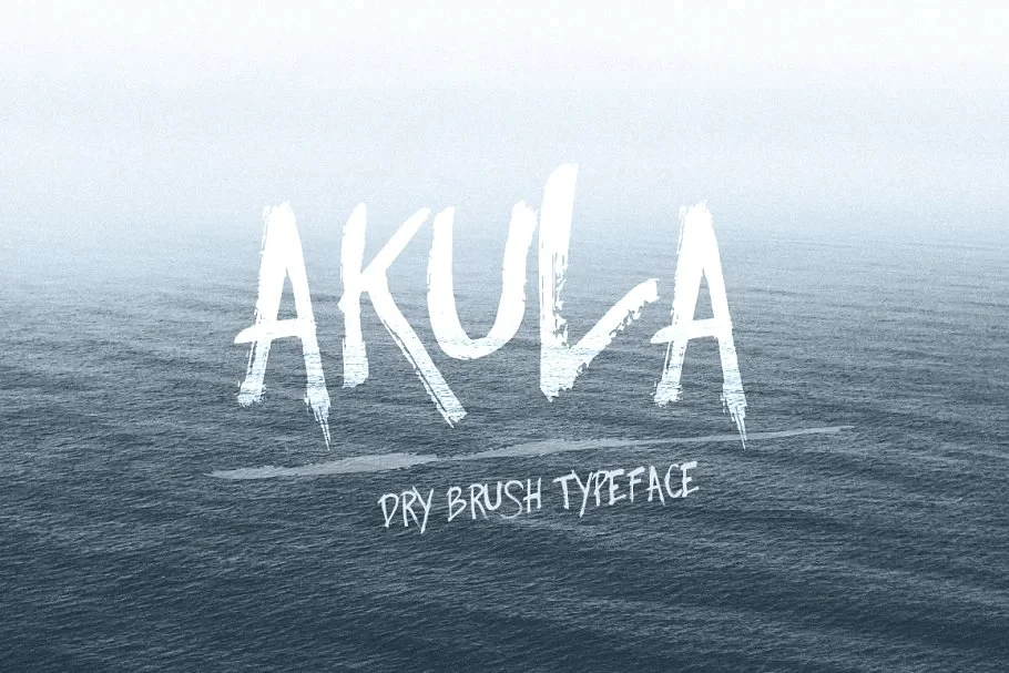 Akula- Dry Brush Font - Image 1