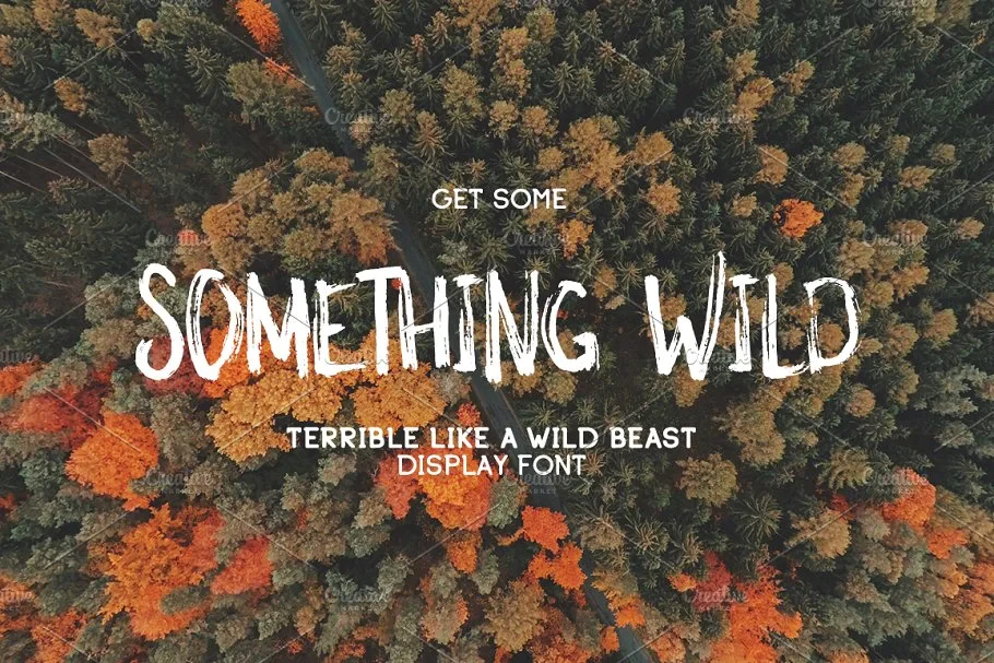 Something Wild - Image 1