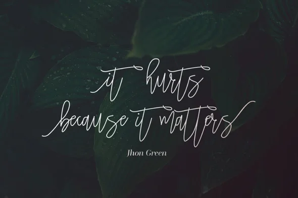 简洁优雅钢笔手写签名英文标志花饰字体 - Image 2