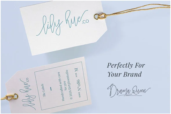 简洁优雅钢笔手写签名英文标志花饰字体 - Image 4