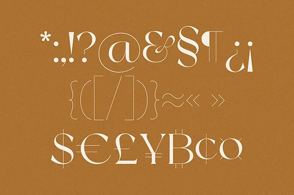 NewYork 免费商用现代潮流衬线英文字体logo品牌标识字体下载 - Image 3