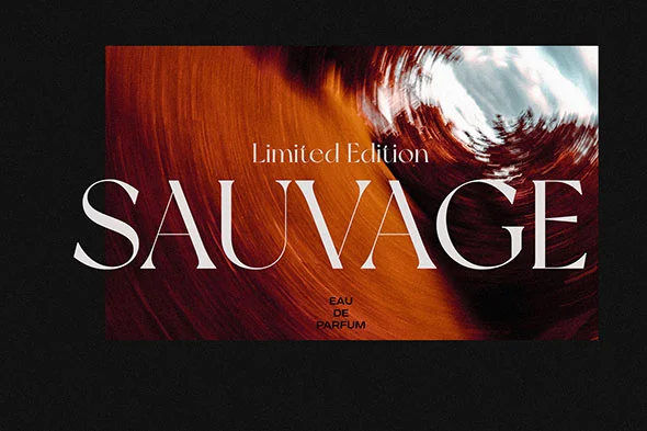 NewYork 免费商用现代潮流衬线英文字体logo品牌标识字体下载 - Image 9