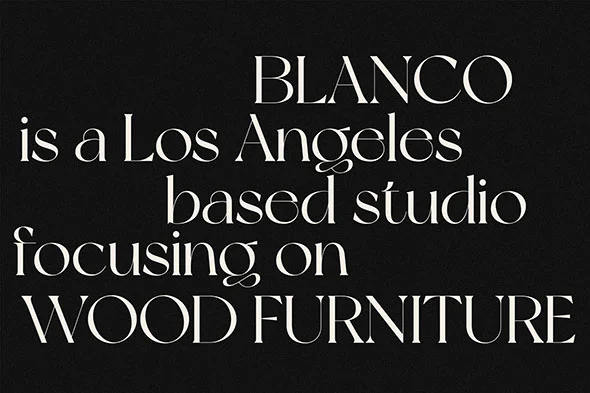 NewYork 免费商用现代潮流衬线英文字体logo品牌标识字体下载 - Image 12