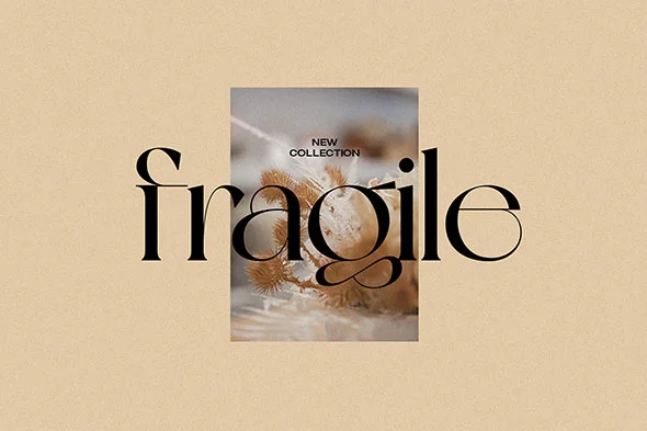 NewYork 免费商用现代潮流衬线英文字体logo品牌标识字体下载 - Image 6