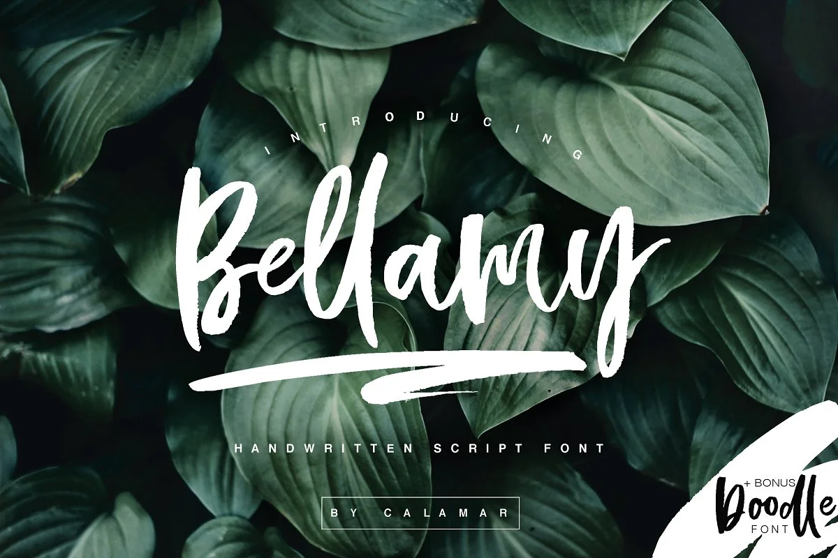 Bellamy Script - Image 1